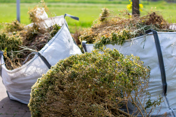 Best Attic Cleanout Services  in Vienna, IL